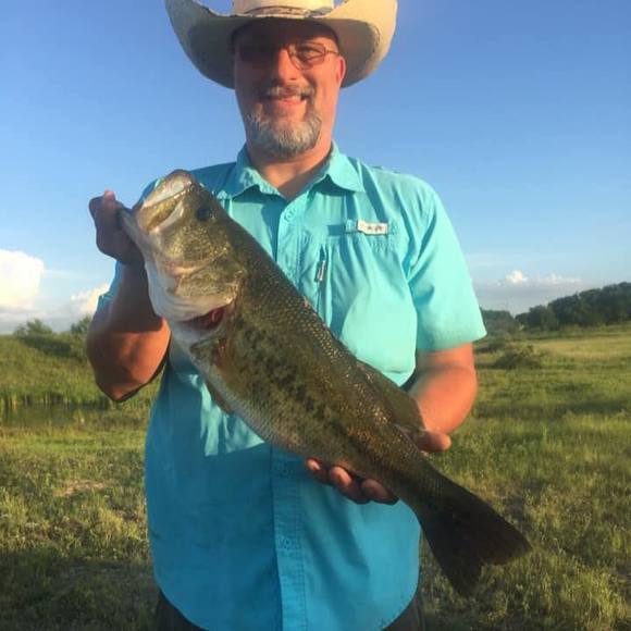 Meet your Posher, Darrell - Picture 1 of 1